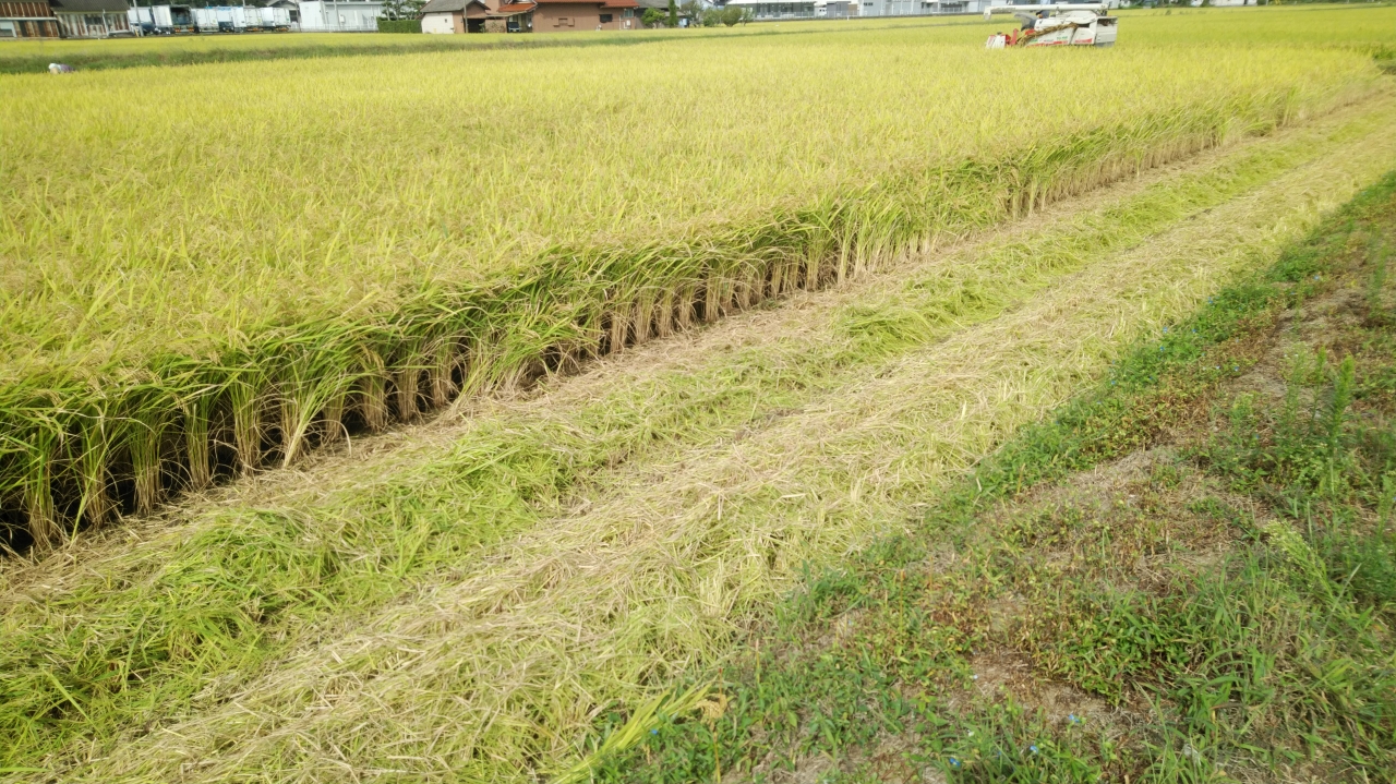 田植え02.09